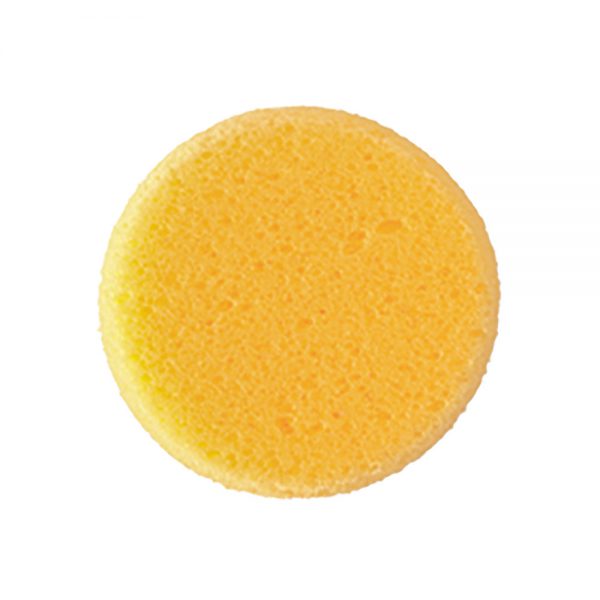 Hydra Sponge Small